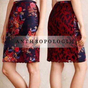 Anthro Leifsdottir Quinn Lace Pencil Skirt Sz 4